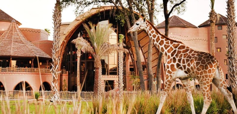 Jambo, 25 Years: Disney's Animal Kingdom Lodge Turns a Quarter-Century
