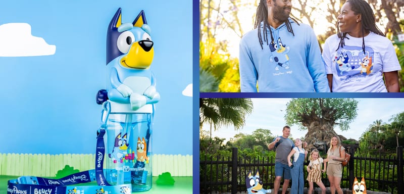 Bluey's Wild World Virtual Queue Vanishes in Seconds on Day 2: The 10 a.m. In-Park Drop Workaround