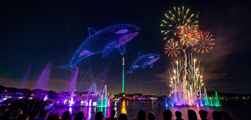 SeaWorld Orlando Reveals Its Electric Ocean Summer 2026 Lineup: New Drone Show, Three All-New Nighttime Animal Presentations, a Cirque Spectacular, and a DJ Dance Party All Land June 12