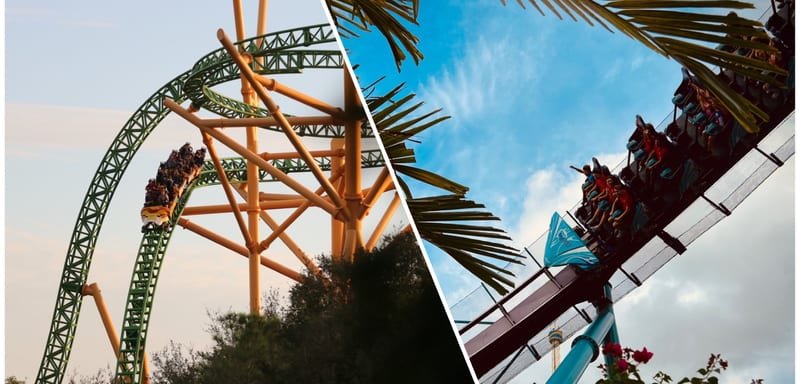 Free SeaWorld Day for Veterans, with a Hard May 10 Deadline: How U.S. Veterans Get In Free for Military Appreciation Month (Plus Active-Duty Year-Round Benefit)