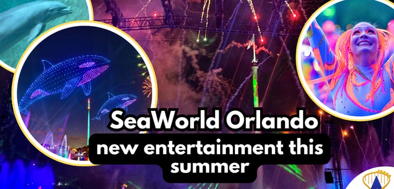 United Parks Q1 2026: Revenue Slips on Weather and International Drop, In-Park Spend Hits a Quarterly Record, Discovery Cove and Pass Sales Called Out as Bright Spots