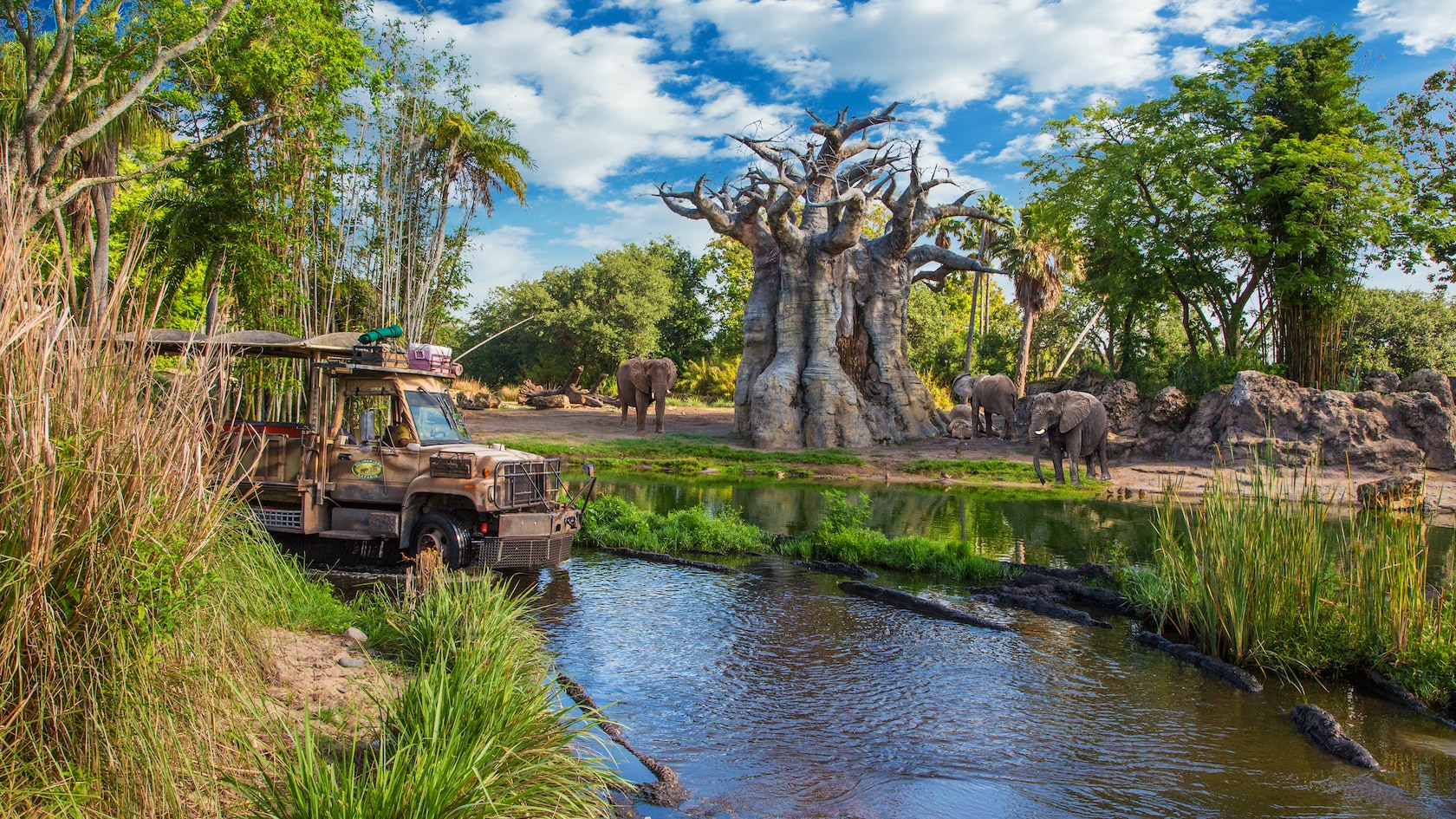 An open sided safari truck at left with its front wheels in a shallow green stream and a Kilimanjaro Safaris roundel on its door, tall tan reeds and bright green grass in the foreground, and on the far bank four African elephants on either side of an enormous grey baobab with bare branches, under a blue sky full of white cloud