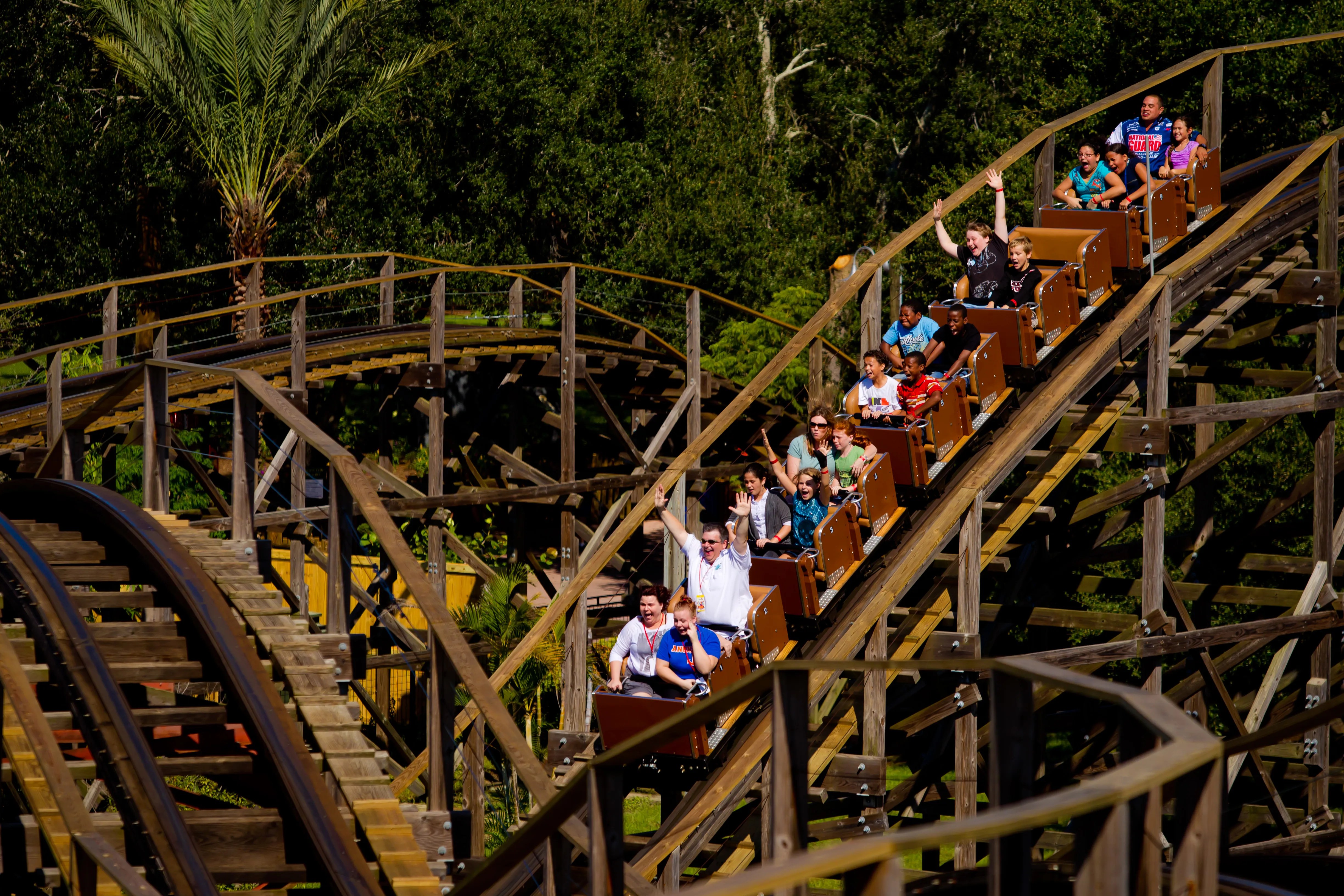 Riders with hands raised cresting a hill on a brown wooden roller coaster surrounded by palms and oaks