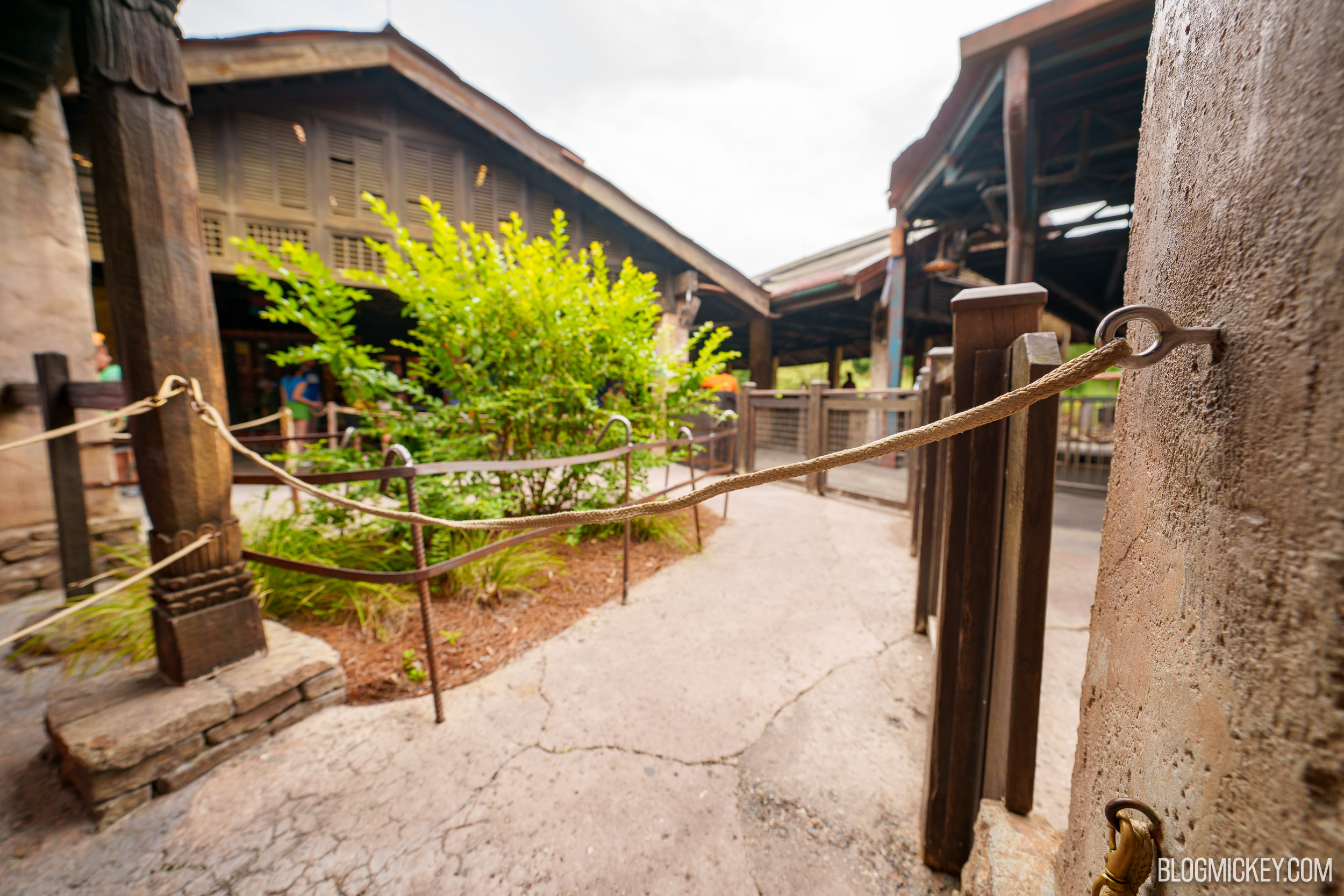 A rope strung across a cracked concrete walkway, with queue railings, a shrub and covered queue structures out of focus beyond it