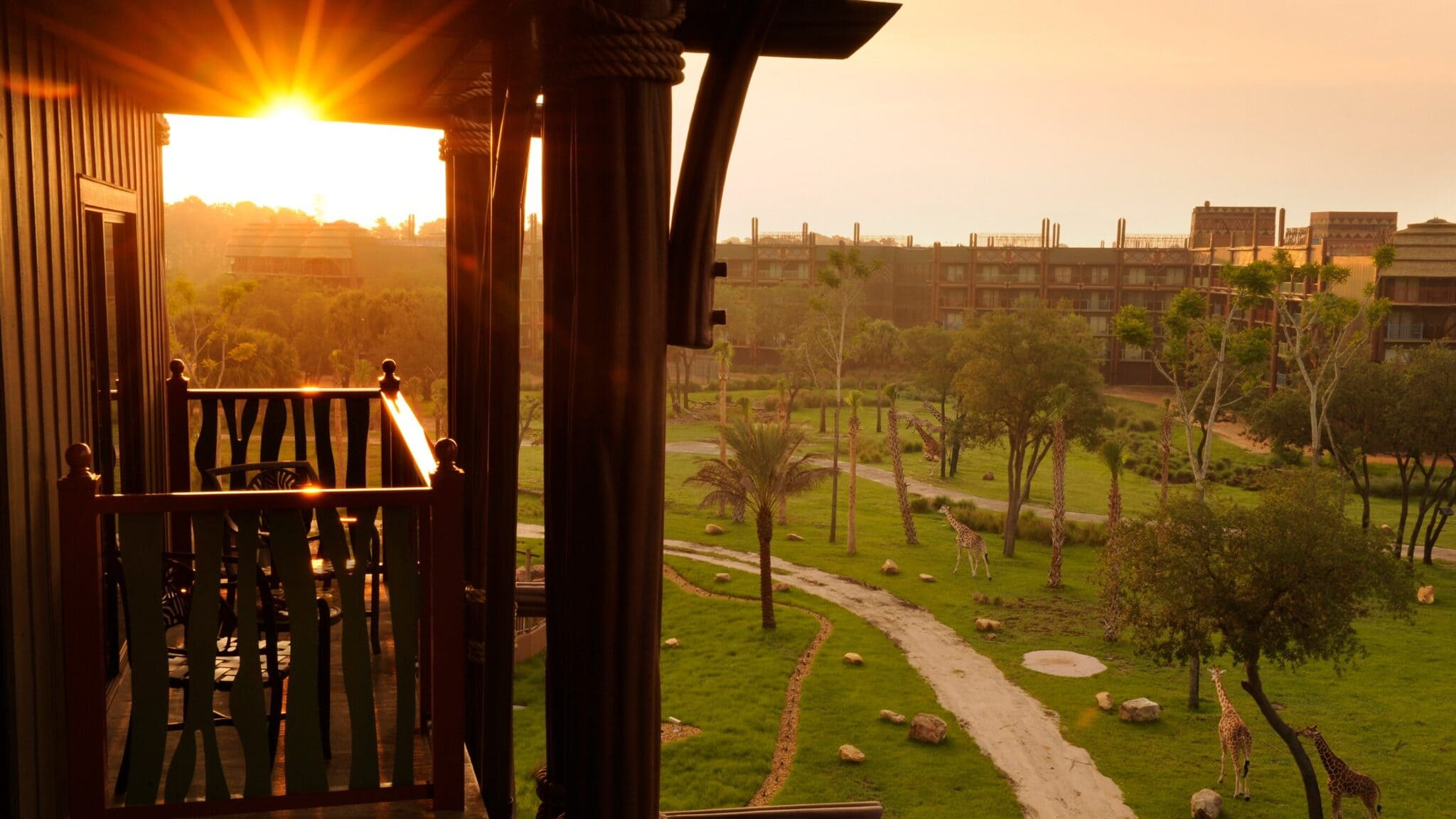 A guest room balcony at Disney's Animal Kingdom Lodge at sunrise, looking out over the savanna with giraffes grazing below