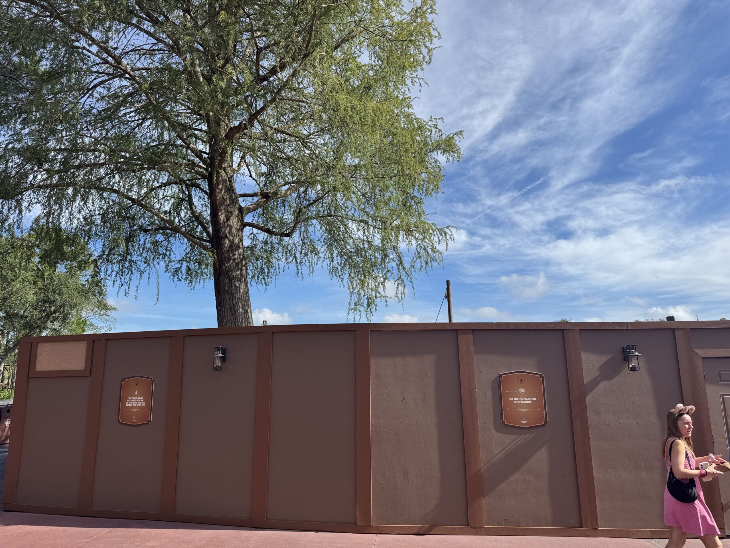 A long run of brown themed construction walls along the Frontierland promenade, with two small story plaques and lantern fixtures mounted on the panels, a tall tree rising behind the wall and a guest in a pink dress walking past at right.