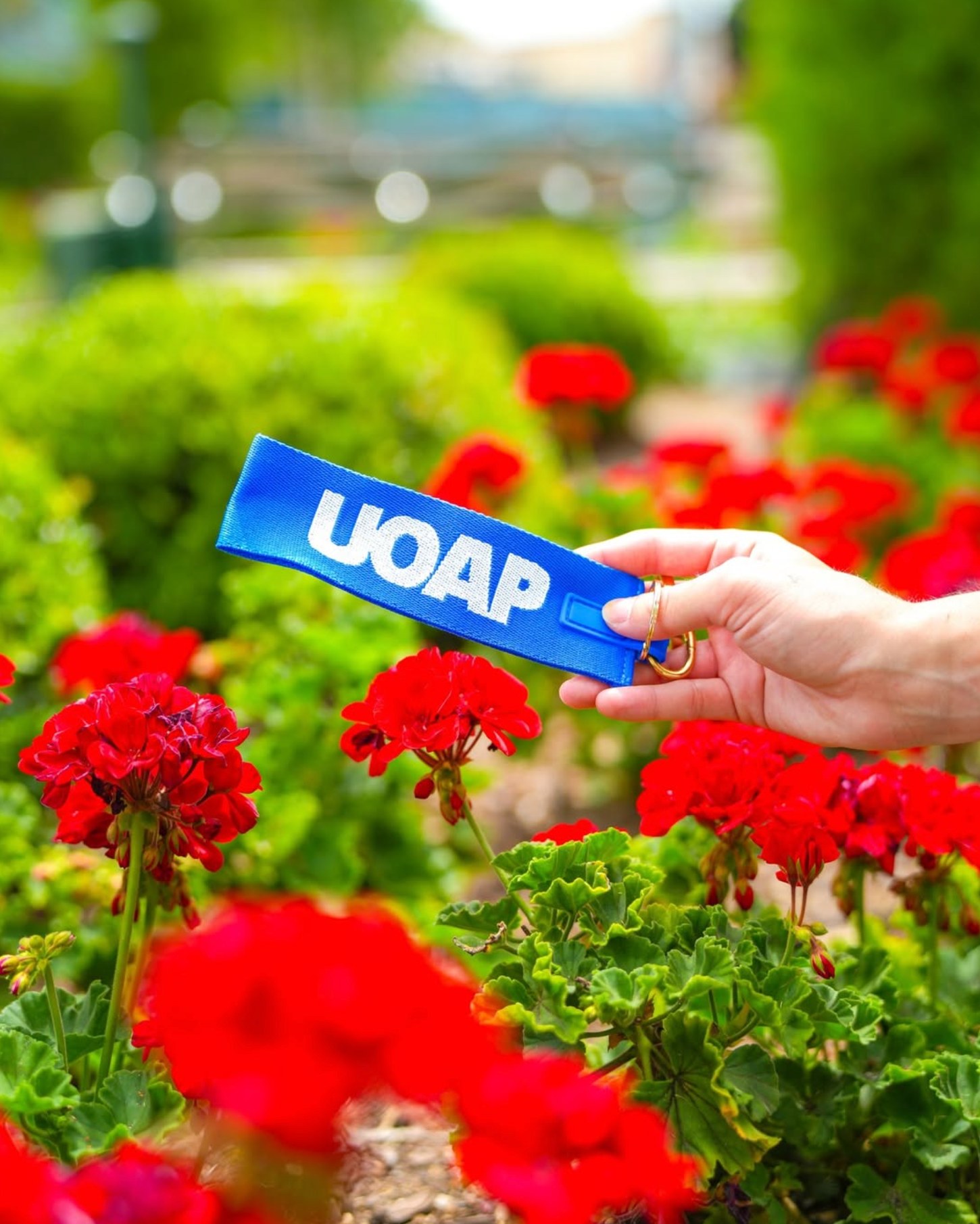 A hand holds out a bright blue fabric strap printed with UOAP in large white block letters, with a gold-tone key ring at one end. The background is an out-of-focus bed of red geraniums and green shrubs.