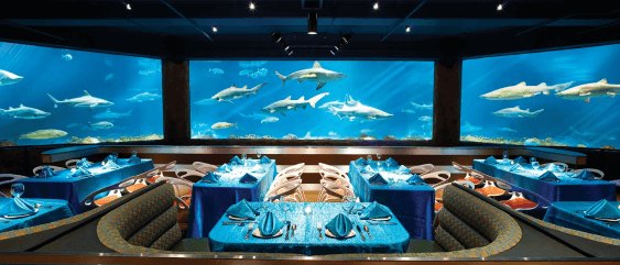 An empty restaurant dining room with blue-draped tables in front of a wide multi-panel aquarium window full of sharks