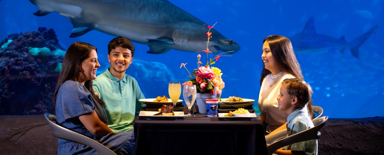 A family of four seated at a table with plated meals in front of a large aquarium window with sharks swimming past