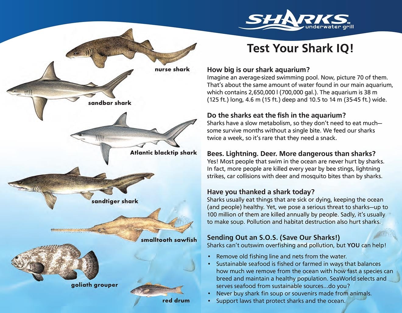 A Test Your Shark IQ information graphic with illustrated shark species down the left side and question-and-answer text on the right