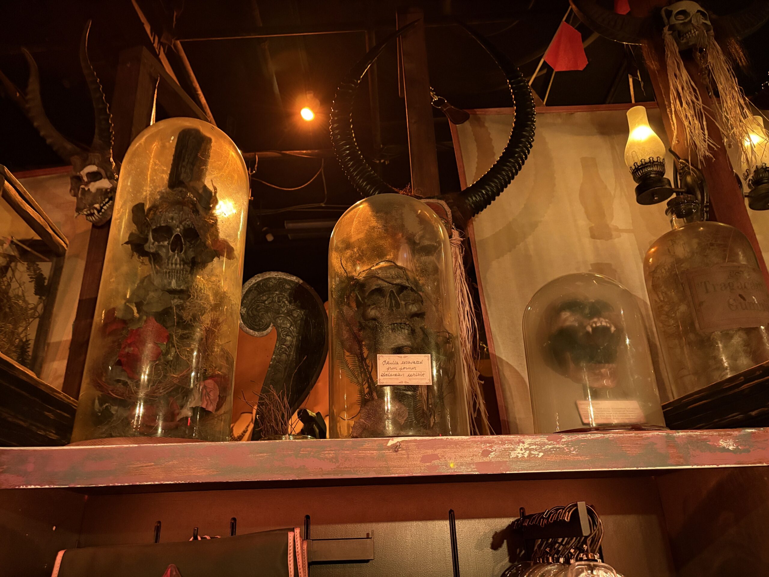 Three glass domes on a shelf holding mossy skulls, with a small handwritten card on the middle one