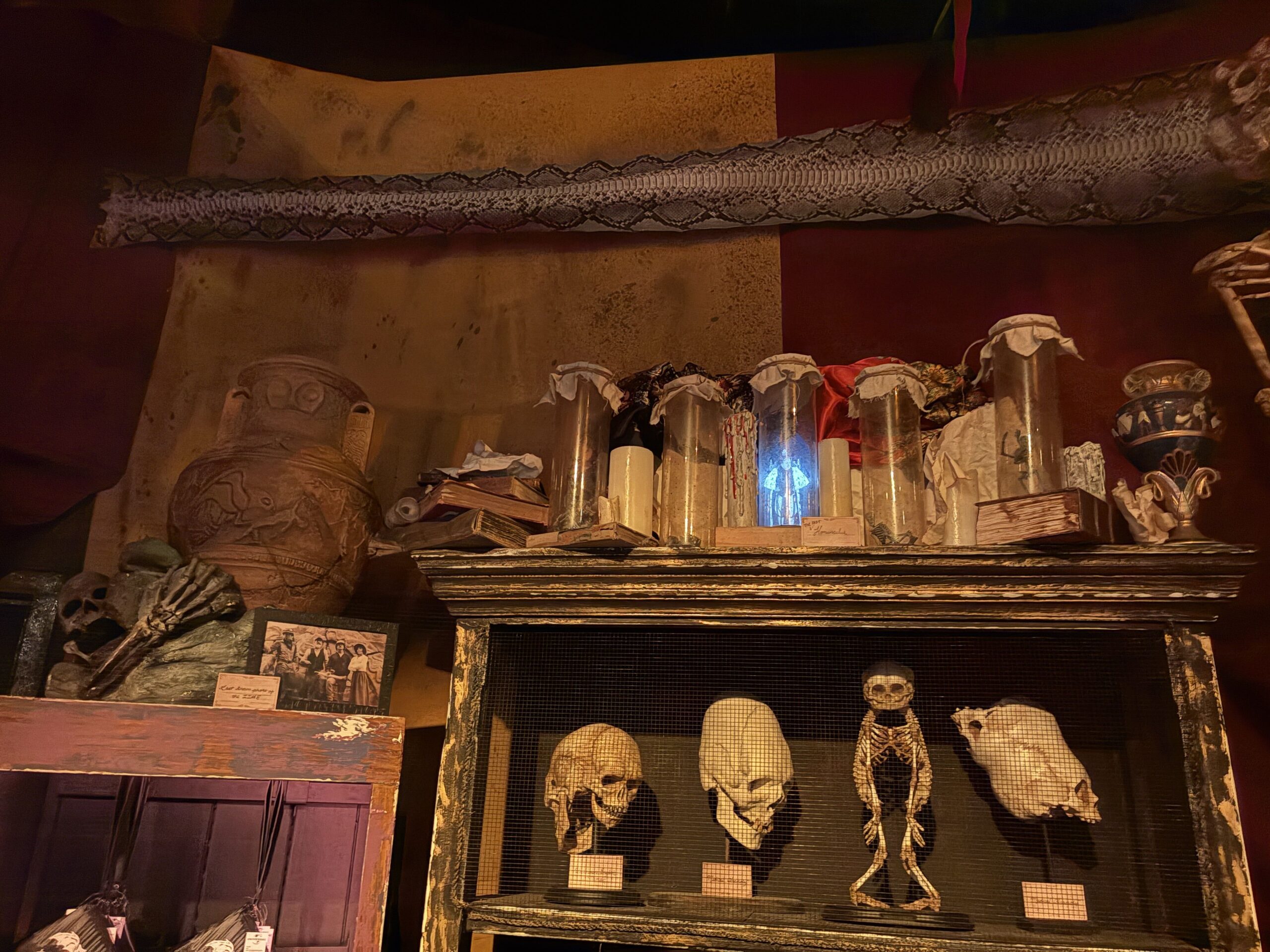 A dim shelf display with a cracked Grecian amphora, a skeletal hand on rock, jars covered in cloth, a blue glowing figure in a jar and a case of skulls below