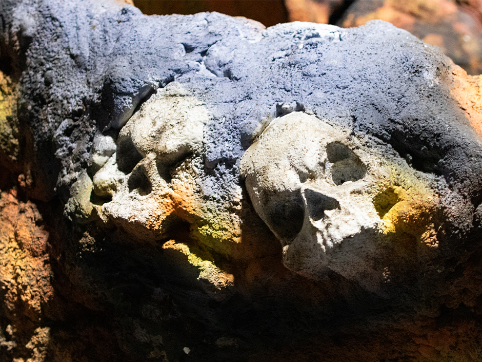 Two weathered skulls half buried in encrusted rock, coated in grey and blue mineral crust with yellow and orange staining around them.