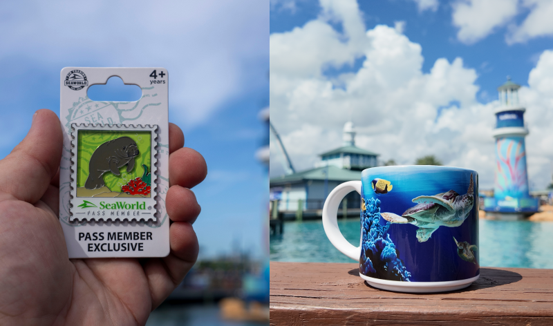 September SeaWorld pass member pin featuring a manatee, beside the quarterly pass member mug featuring sea turtles