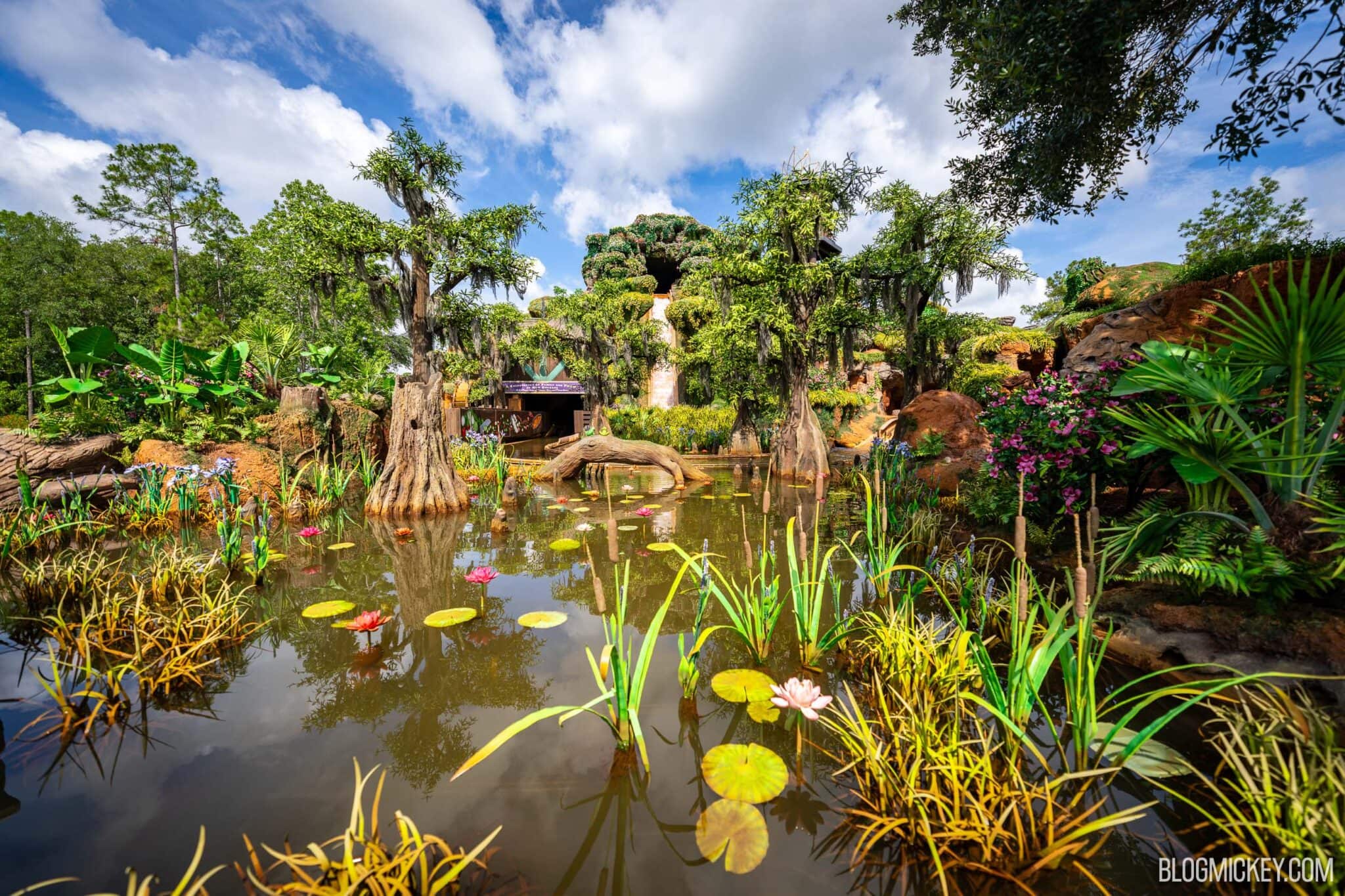 The bayou lagoon outside the attraction with lily pads, cattails and irises in the foreground and the show building mountain rising behind cypress trees draped in Spanish moss