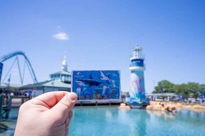 A hand holds up a Guy Harvey commemorative SeaWorld card printed with a shark and jellyfish artwork, framed against the SeaWorld lighthouse, lagoon and coaster track behind it