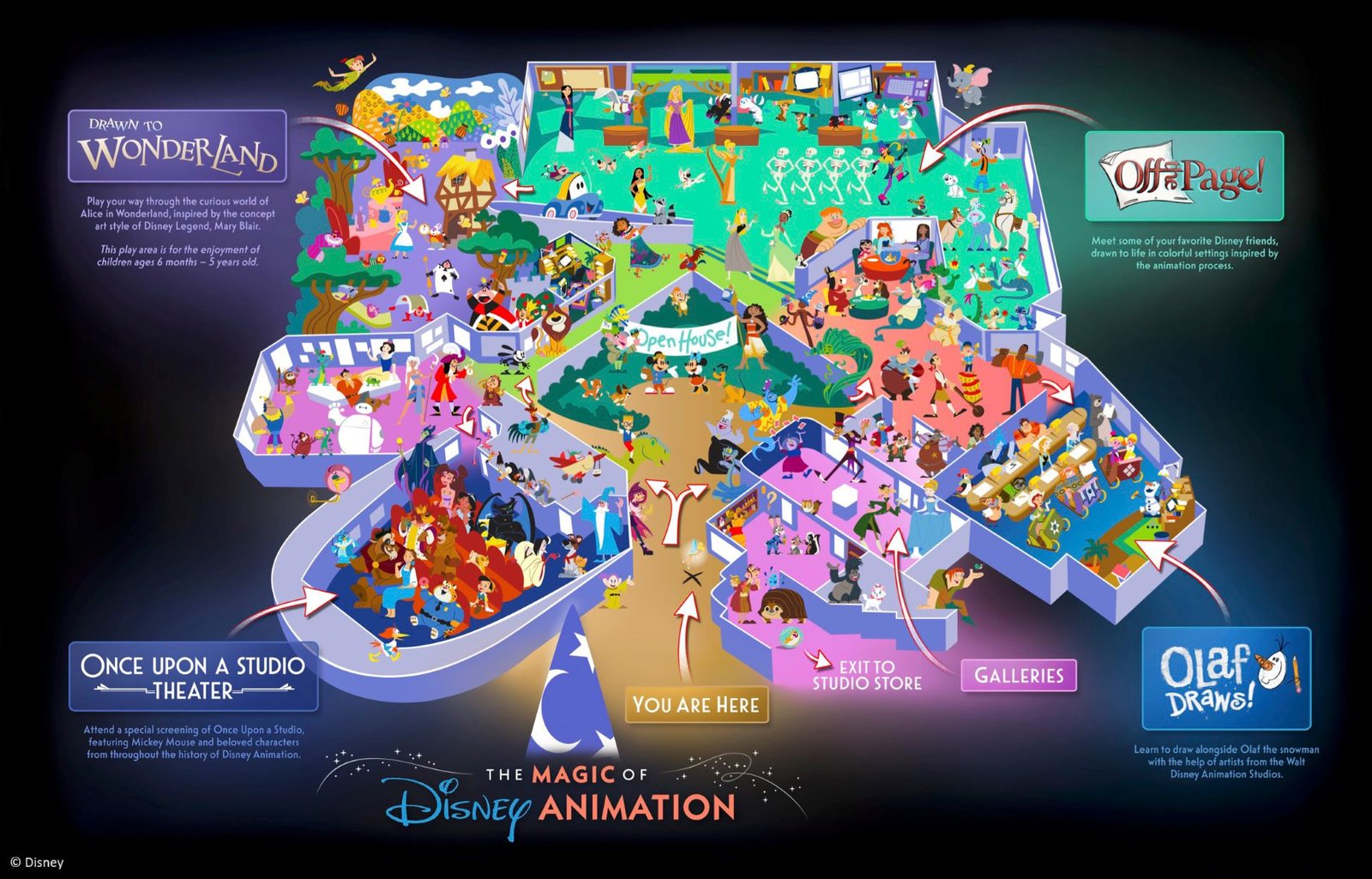 Disney's illustrated cutaway map of The Magic of Disney Animation, labelling Drawn to Wonderland, Off the Page!, Once Upon a Studio Theater, Olaf Draws!, the Galleries and an exit to the Studio Store, with a You Are Here marker at the bottom.