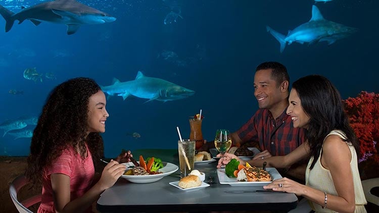 Three people seated at a table with plates of steak and salmon, a bread roll and drinks, laughing together in front of a large blue aquarium window with several sharks and smaller fish swimming past behind them.