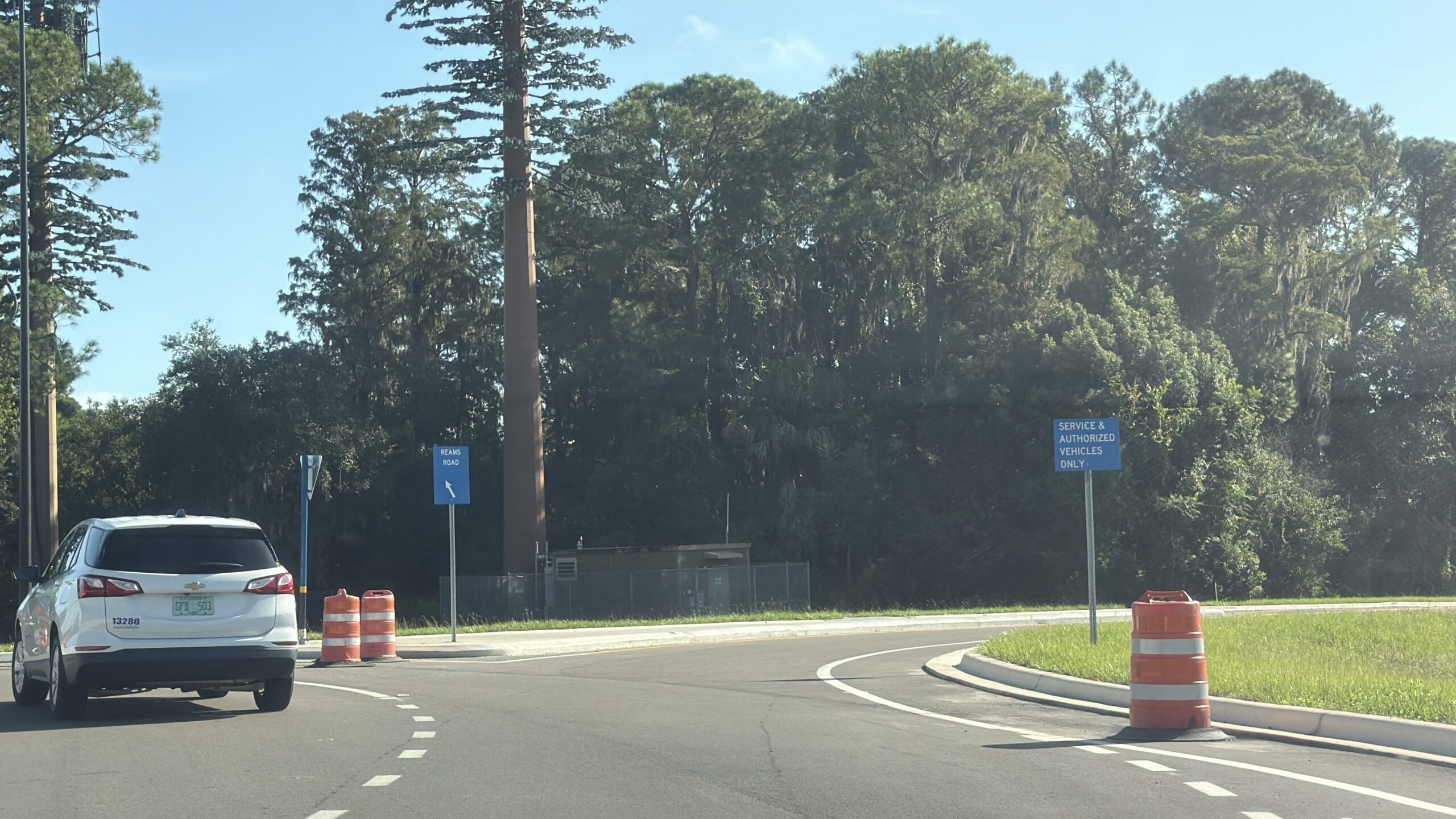 A roundabout exit lane with two blue signs, one at the right curb reading Service and Authorized Vehicles Only and a Reams Road guide sign further back, plus orange construction barrels and a white SUV in the left lane
