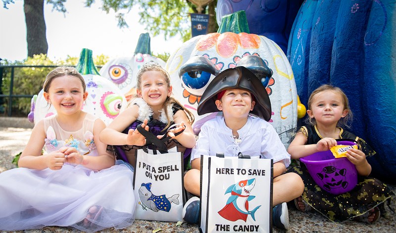 Four young children in Halloween costumes sitting in front of large painted pumpkins, with two white tote bags in front of them printed with a caped fish and a caped shark