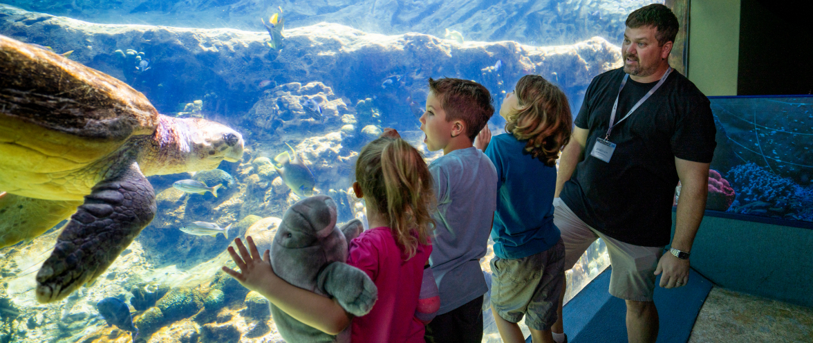 Three children and a man with a lanyard standing at a curved reef viewing window, watching a large sea turtle swim past at the left of the frame, with coral, rockwork and small fish visible through the glass and a girl in a pink top hugging a plush manatee