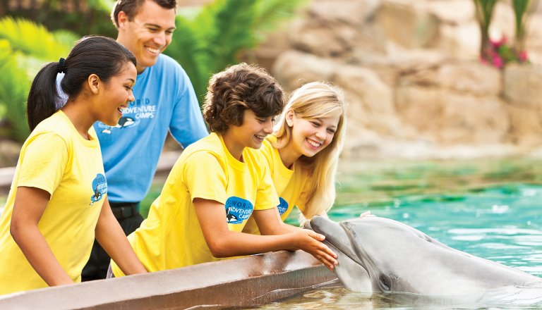 Three campers in yellow camp shirts lean over a pool edge as one touches a dolphin and a counselor in a blue camp shirt smiles behind them