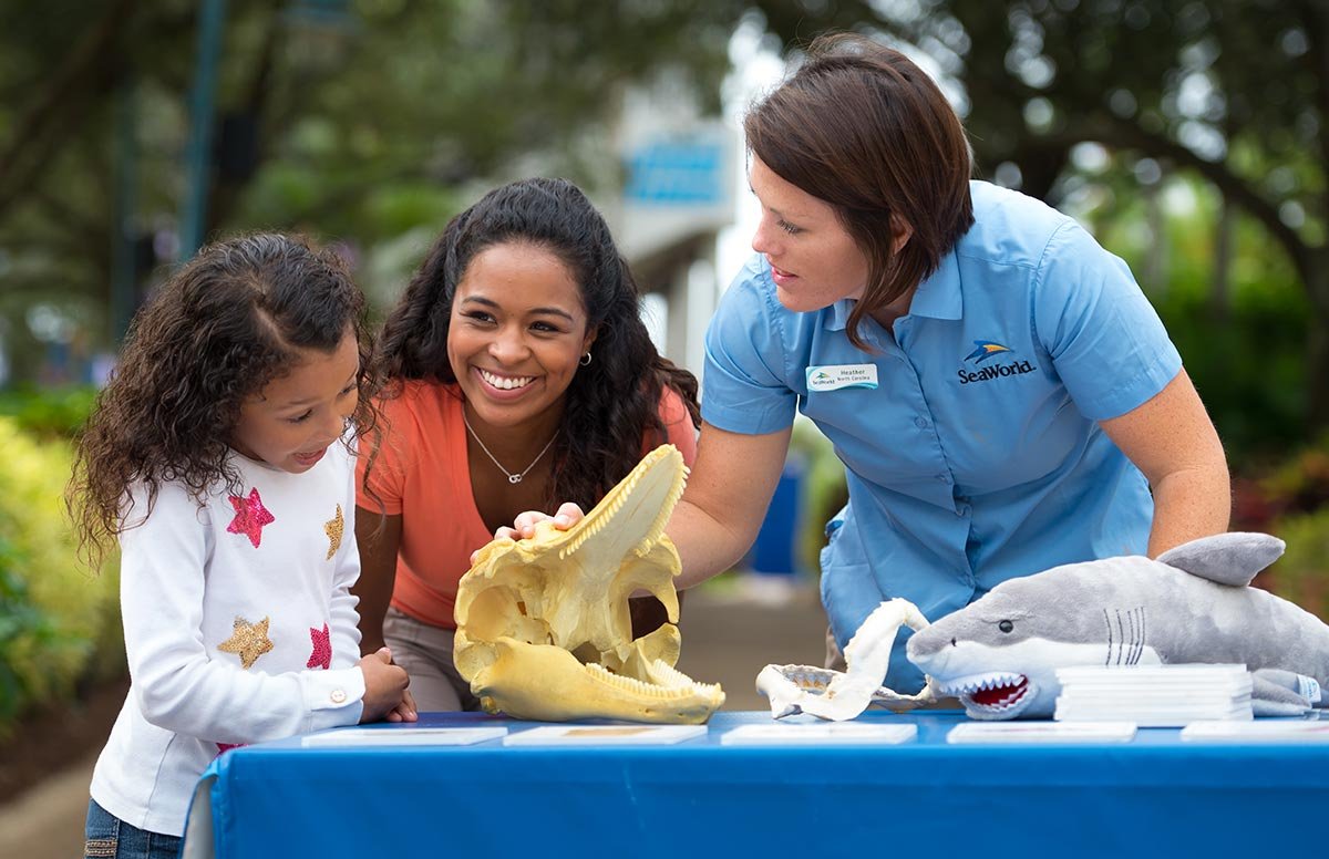 A SeaWorld educator in a blue SeaWorld shirt shows a large animal skull to a wide-eyed young girl and a smiling woman at an outdoor table, with a plush shark on the table