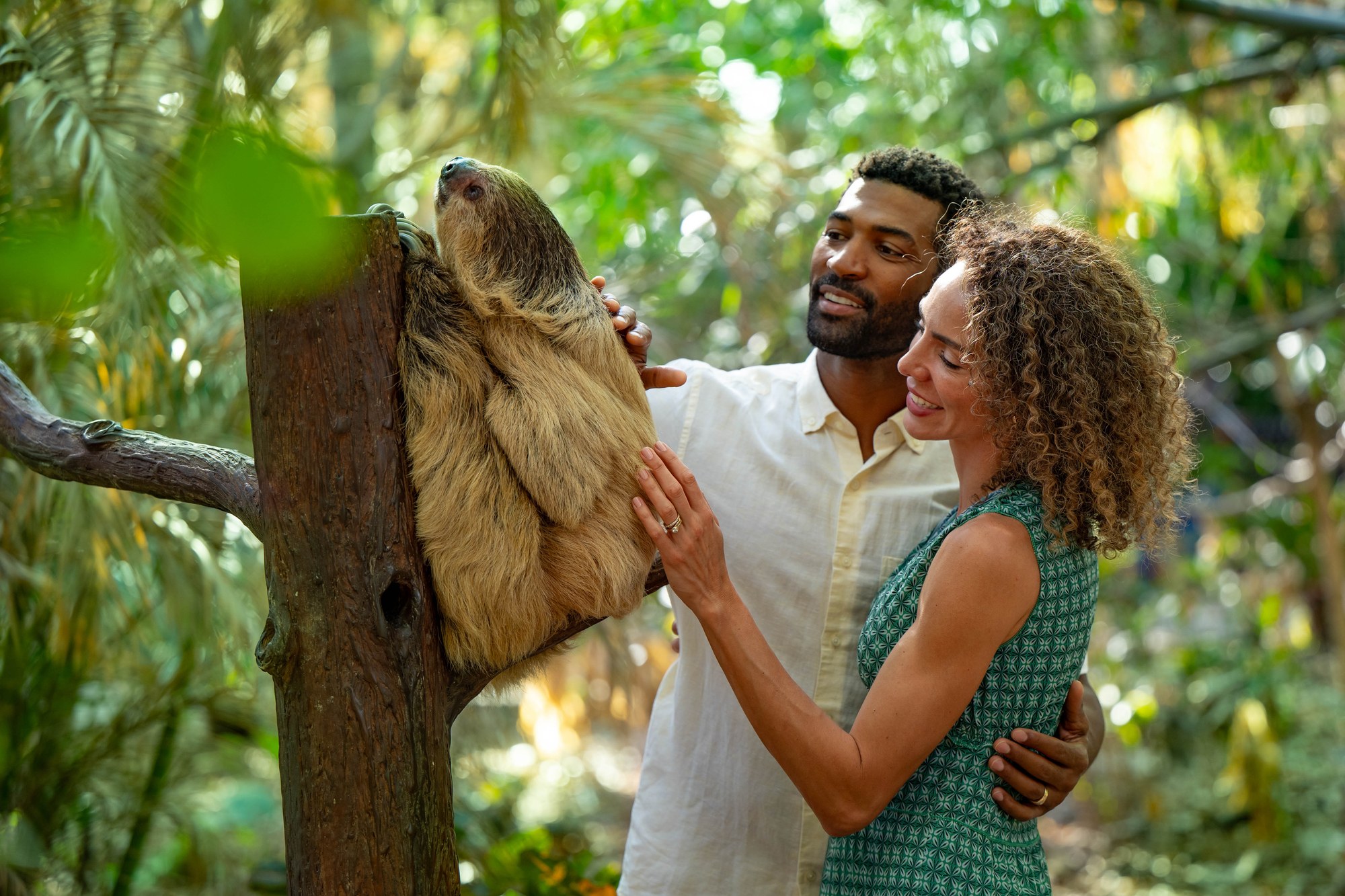 A two toed sloth clinging upright to a bare tree trunk in dense sunlit greenery, with a bearded man in a cream linen shirt and a woman in a green patterned sundress standing beside it, each resting a hand on the sloth's back