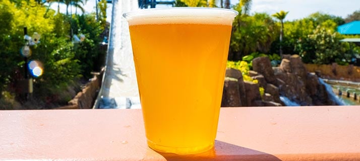 A clear plastic cup of pale golden beer with a thin head of foam on a salmon colored ledge, in front of a steep water ride drop, tan rockwork and palm trees under a blue sky