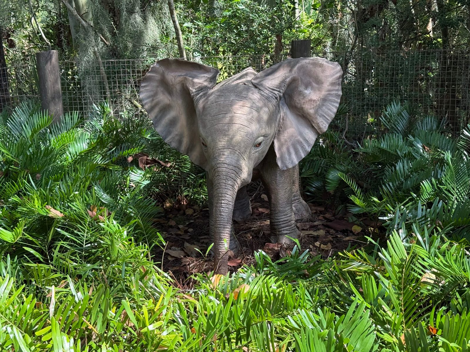 A life-size baby elephant figure with its ears spread wide stands facing the camera among green fern-like plants, in front of a wire fence and wooden posts with trees behind