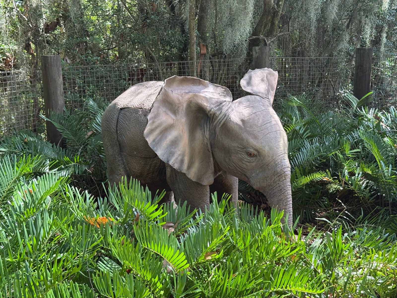 Side view of the baby elephant figure among fern-like plants, head in profile facing right, trunk hanging down, with a wire fence and Spanish moss covered trees behind