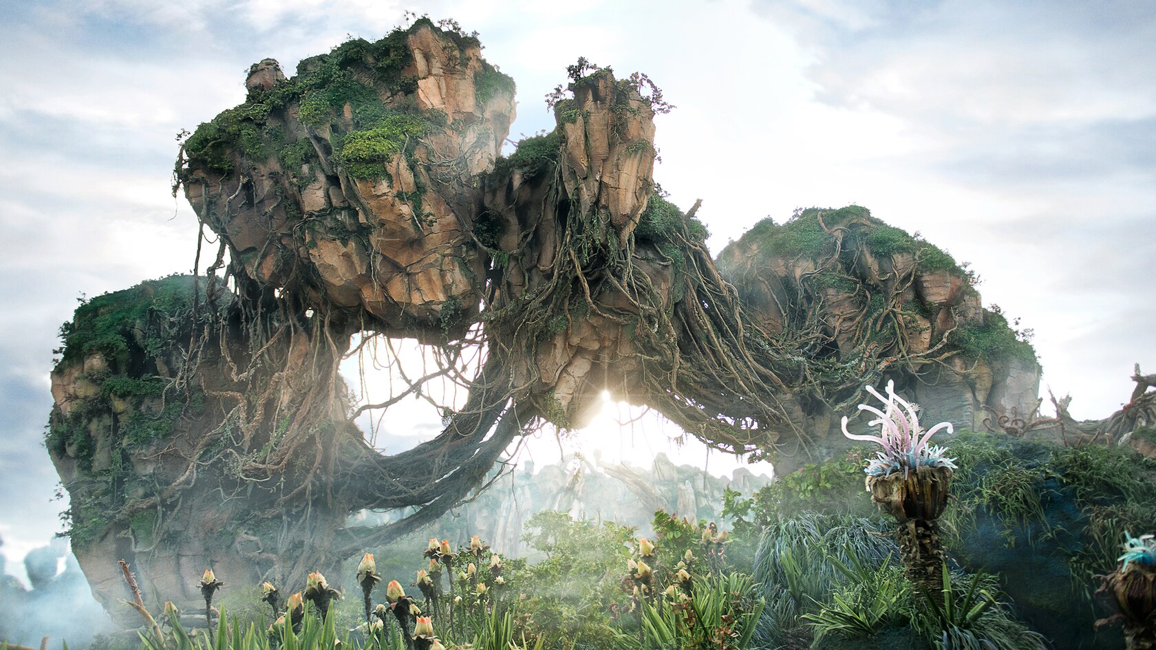 The floating mountains of Pandora, The World of Avatar at Disney's Animal Kingdom, rocky outcrops draped in vines and hanging roots, with sunlight breaking through beneath them and alien plants in the foreground