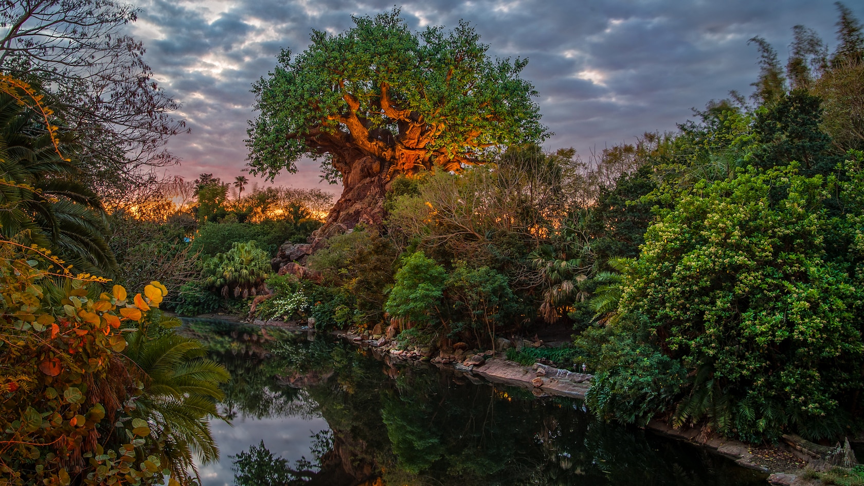 The Tree of Life at Disney's Animal Kingdom at twilight, its carved trunk lit orange beneath a cloudy sky, reflected in a still pond framed by dense tropical plants