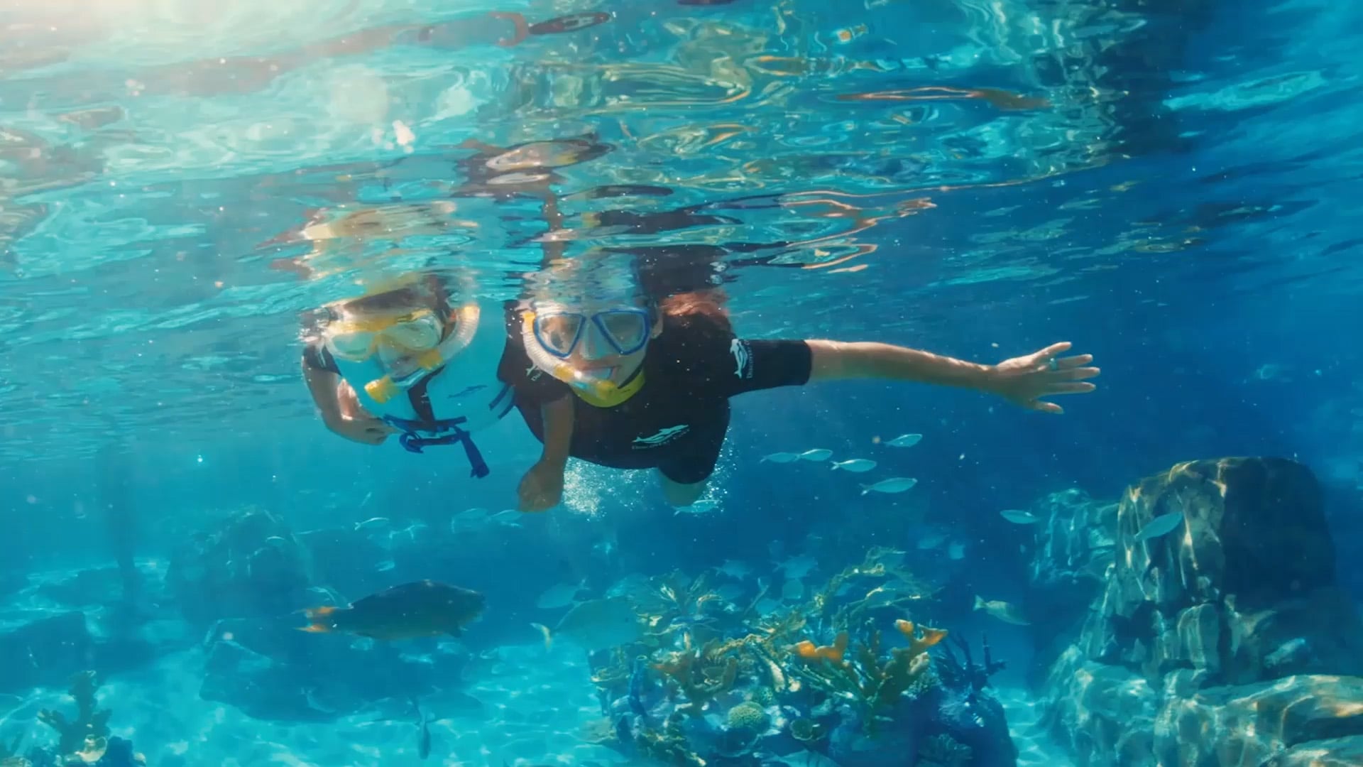 Two young snorkelers in masks swim just below the surface over a reef and schooling fish, one in a Discovery Cove rash guard with an arm stretched forward