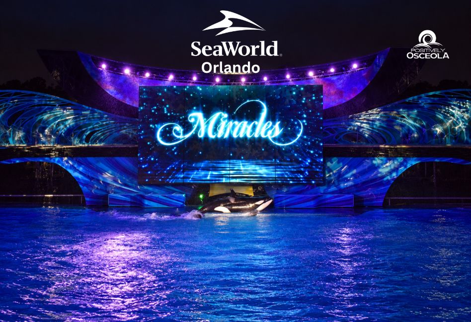An orca glides along the surface in front of a large lit stage screen reading Miracles at a night-time orca stadium lit in blue and purple, with SeaWorld Orlando and Positively Osceola logos across the top