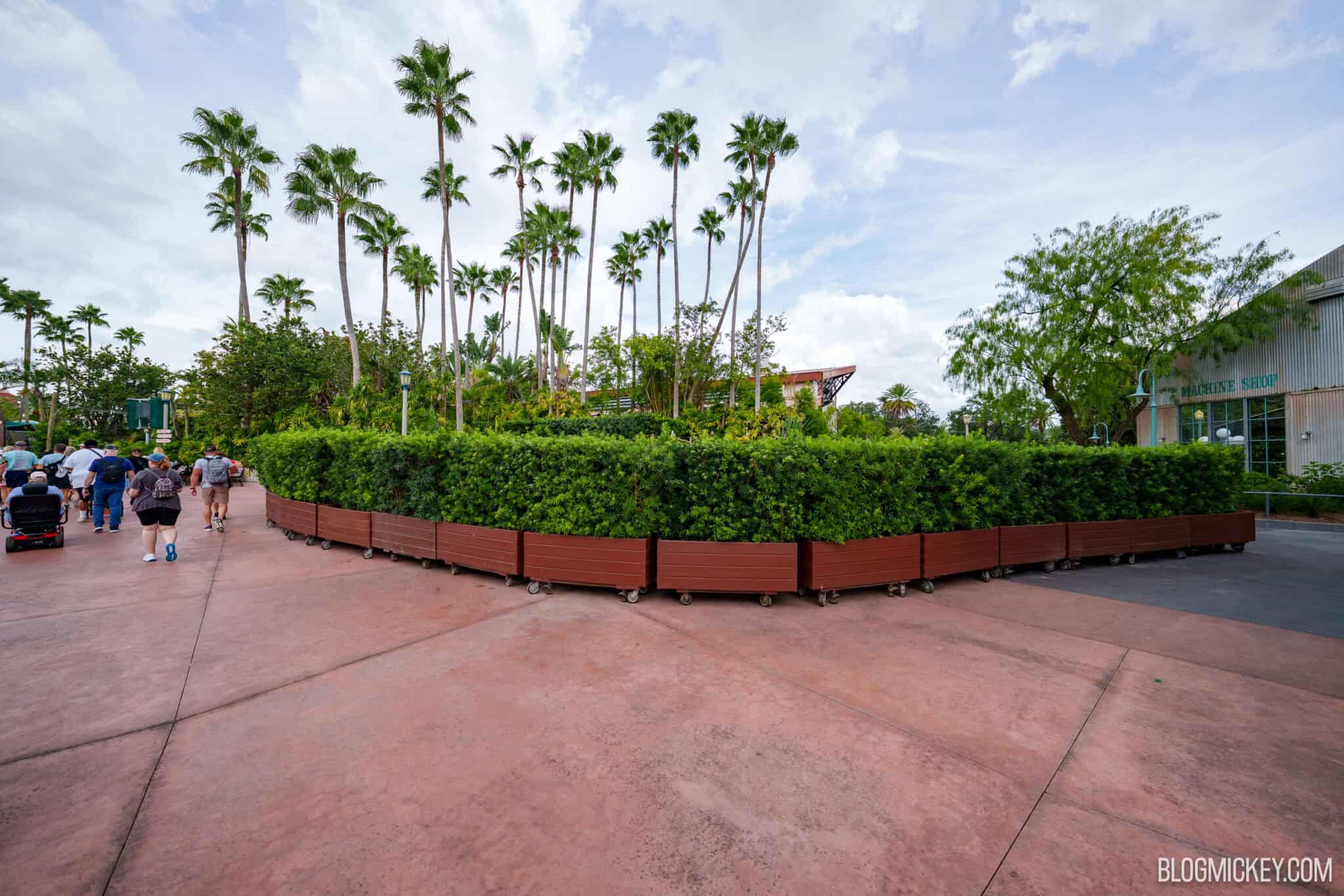 A long curved wall of rolling wooden planters with tall green hedges blocking off an area at Hollywood Studios, with palm trees behind it, guests walking past on the left and a building marked Machine Shop on the right