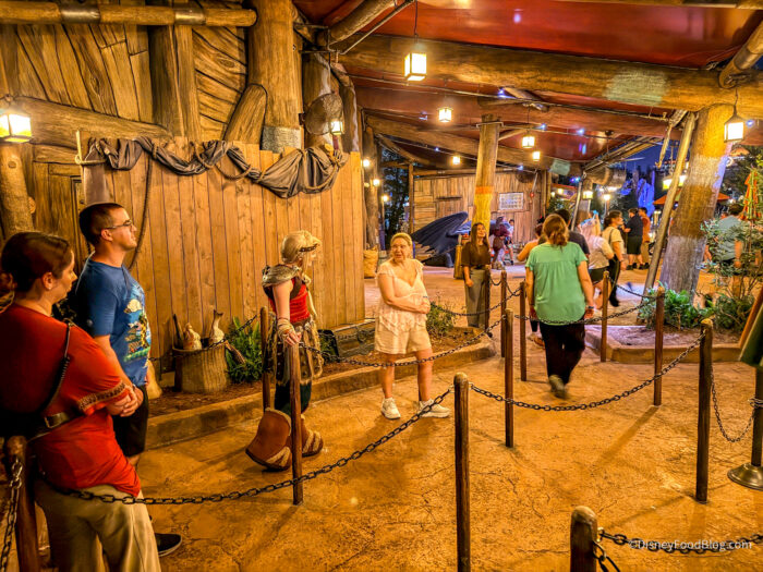A roped queue under a wooden Viking-style canopy in the Isle of Berk at night, with a few guests standing in line, one person in a Viking costume, and a dragon figure in the background