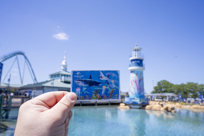 A hand holding up a SeaWorld Orlando pass card printed with a shark, rays and jellyfish, in front of a lagoon, a painted lighthouse and a roller coaster track under a blue sky