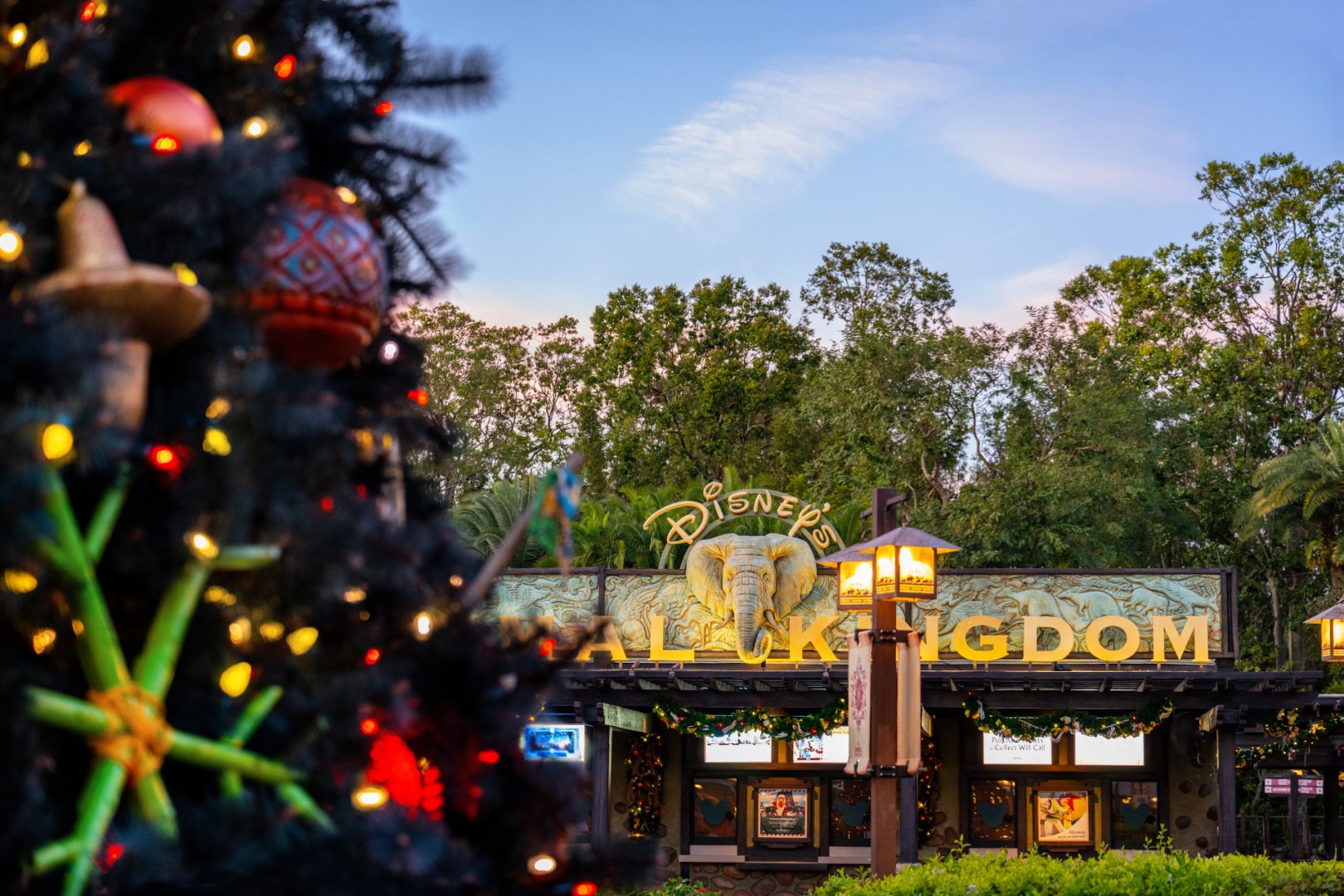 A Christmas tree decorated with painted ornaments, bamboo stars and colored lights in the foreground, with the Disney's Animal Kingdom entrance sign, an elephant crest and gold letters, at dusk behind it