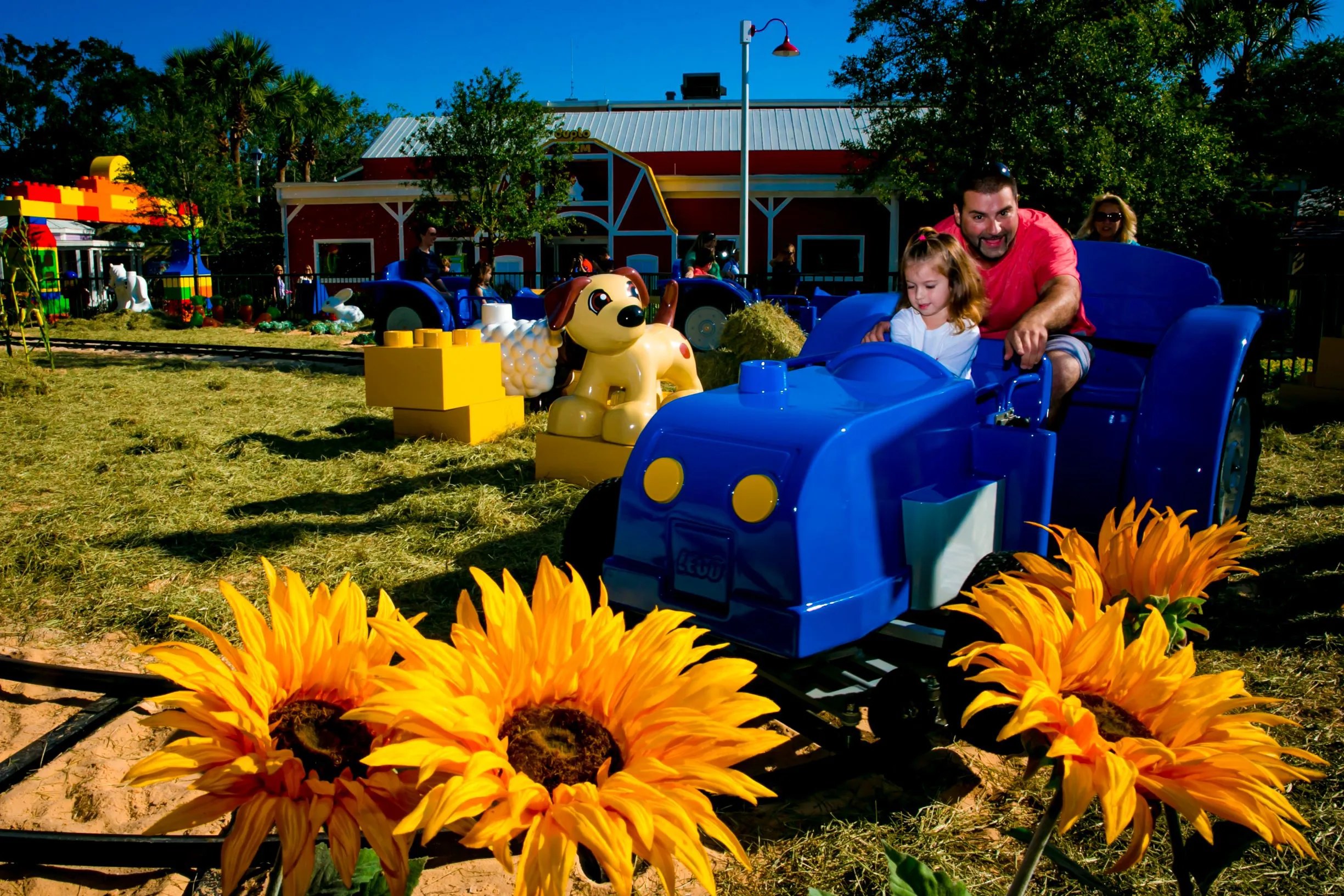 A man and a young girl riding a blue LEGO tractor along a track past giant sunflowers, with a red barn behind them