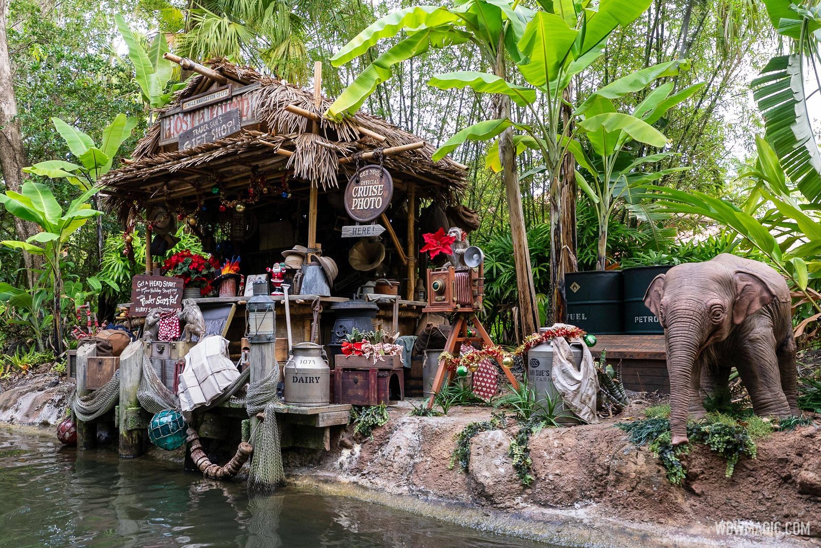 A baby elephant figure stands on the riverbank beside a thatched-roof Trader Sam's gift shop hut decorated with poinsettias, garland and holiday signs along the Jungle Cruise river