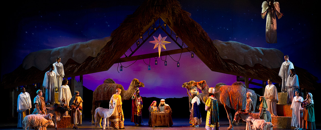 Performers in robes stand on a stage set as a stable under a starry sky, with camels, sheep and a llama around a manger and an angel figure above