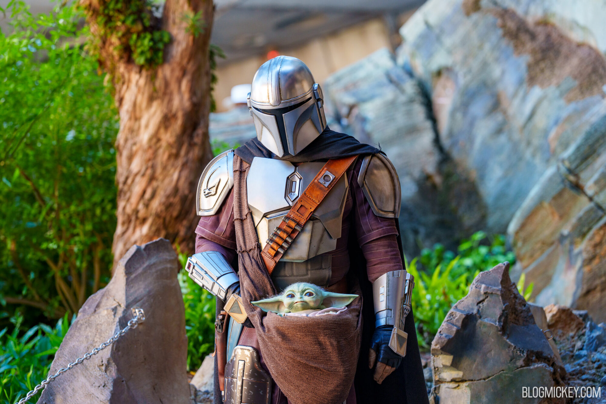 The Mandalorian in silver armor and a dark cape stands among rocks and greenery with Grogu peeking out of a brown sling at his waist, a chain stanchion visible at lower left