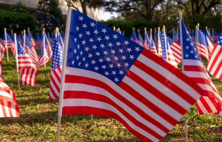 Rows of small American flags planted in the grass, with one flag in sharp focus in the foreground