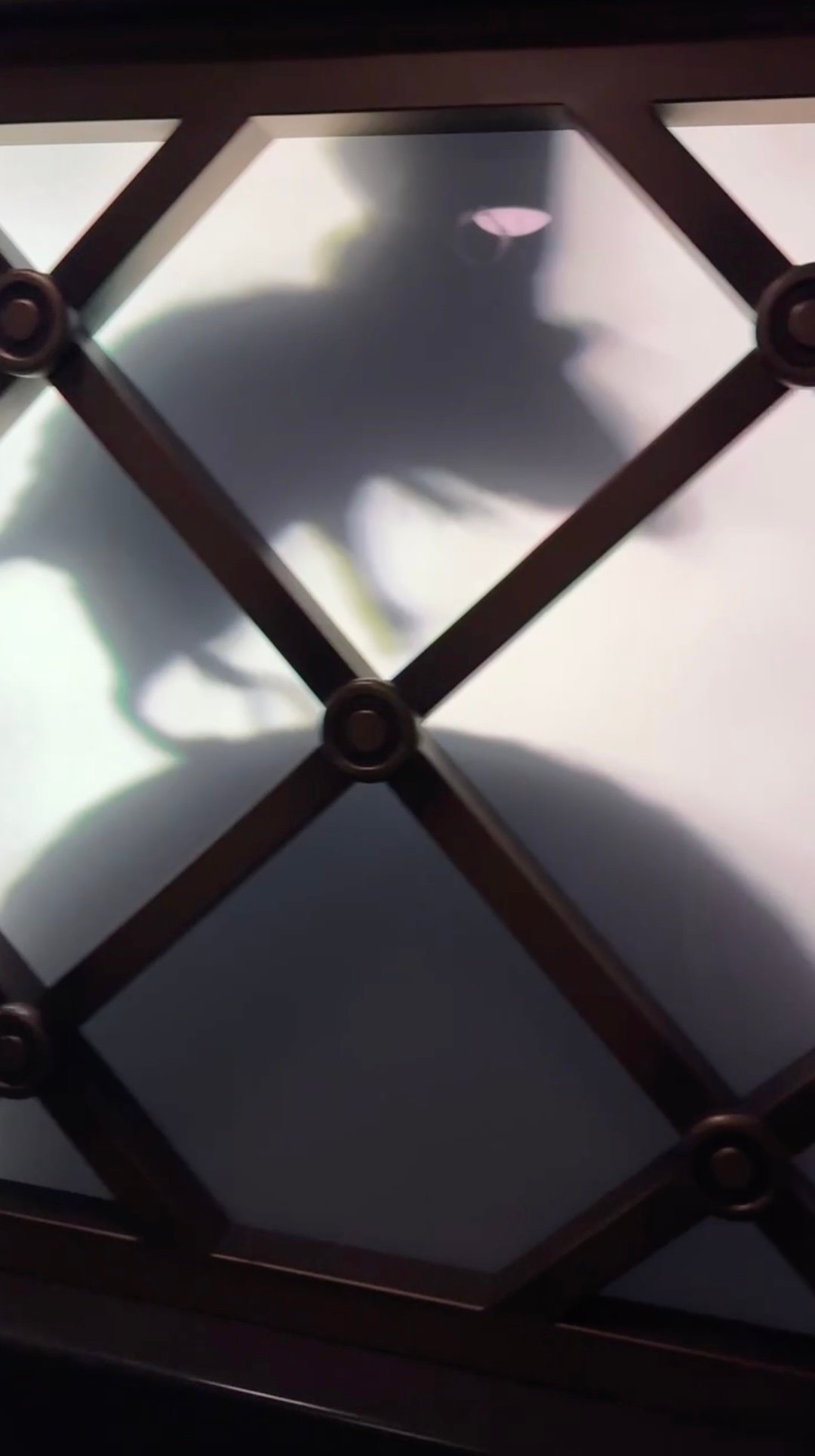 Close-up of the frosted lattice panes with the dark silhouette of a rat near the top and a large curved shadow below