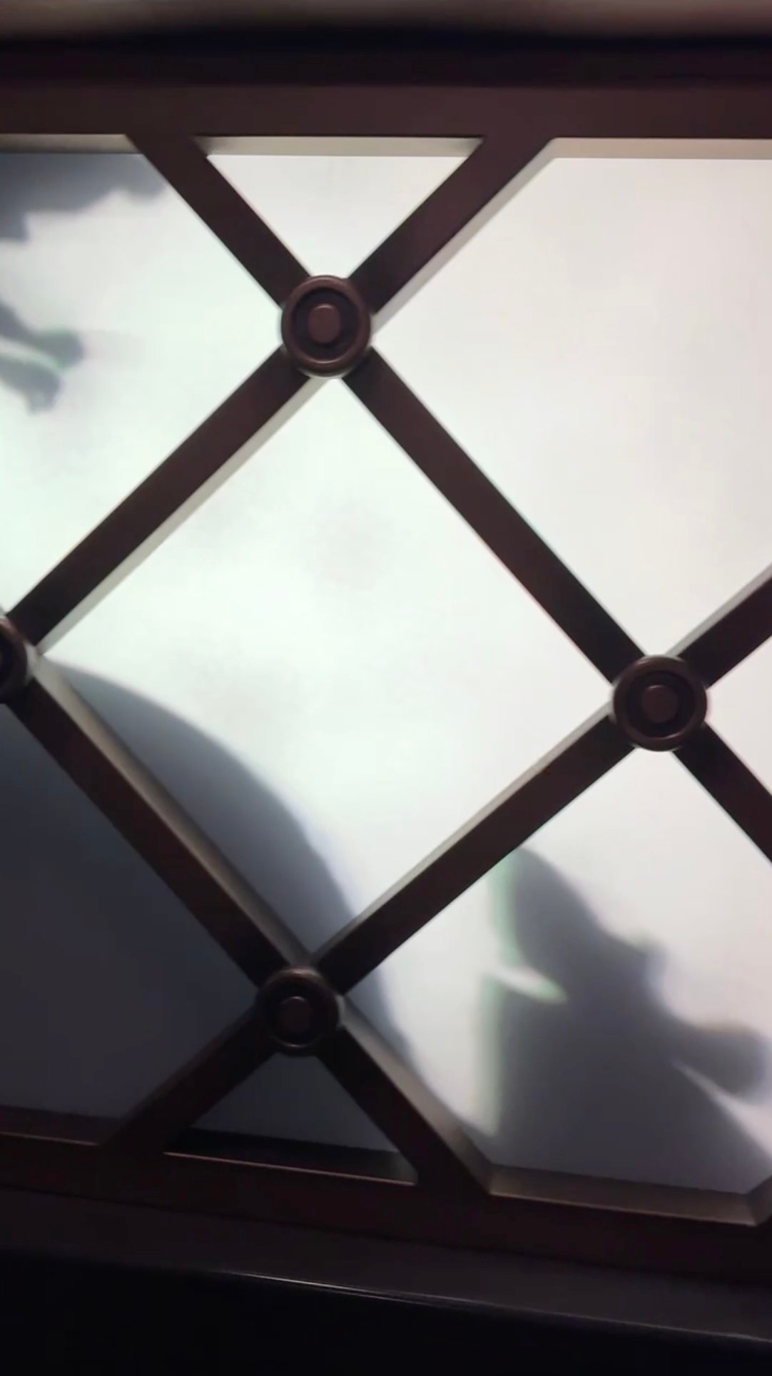 Close-up of frosted diamond panes in the lattice window with a large rounded shadow passing behind them and a smaller rat-shaped shadow at lower right