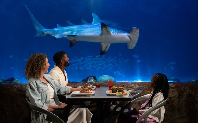 A family eats at a table in Sharks Underwater Grill in front of a large aquarium window as a hammerhead shark swims past in the window above them