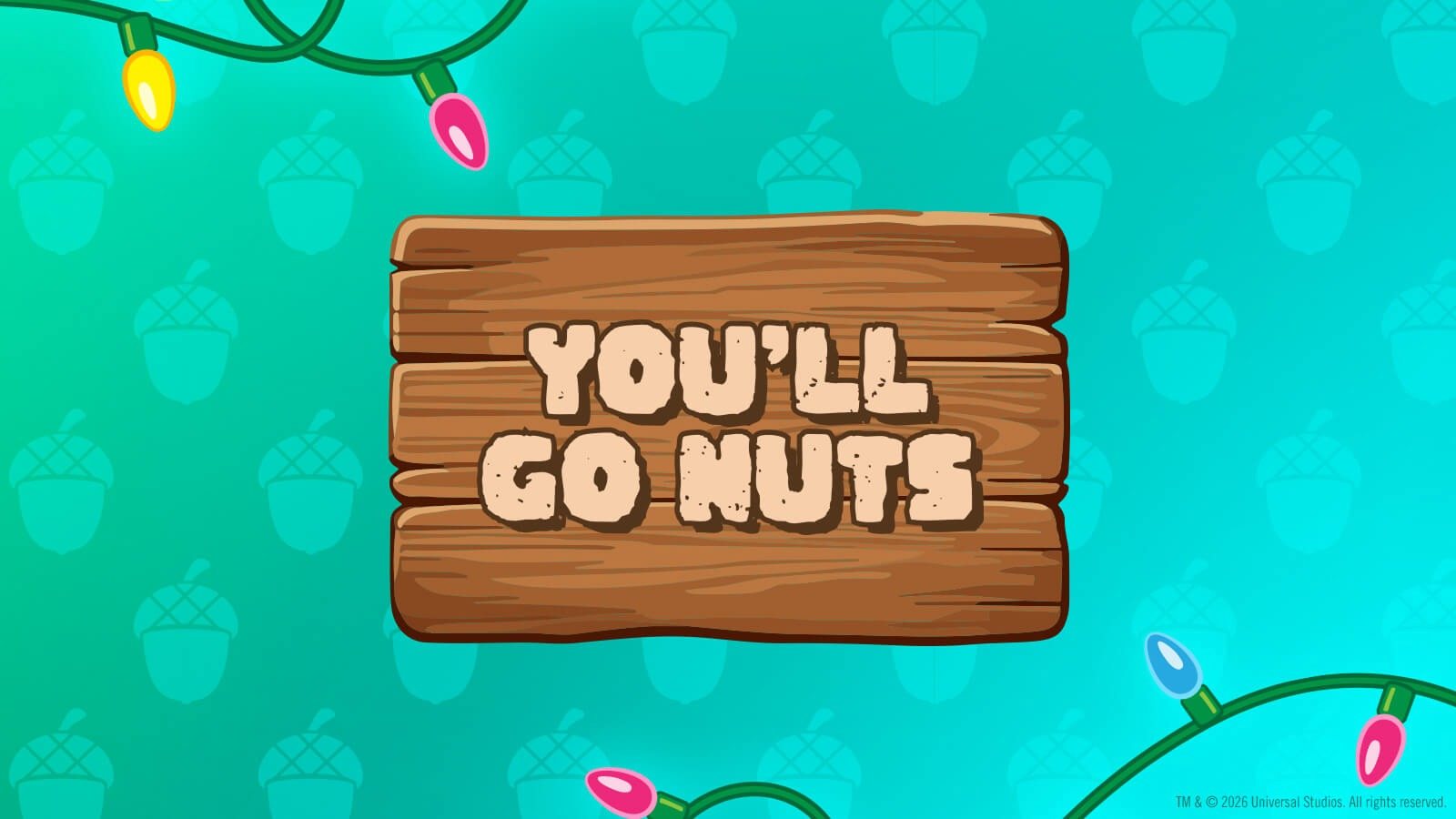 A wooden sign reading You'll Go Nuts on a teal background patterned with acorns, with strings of colorful Christmas lights at the corners