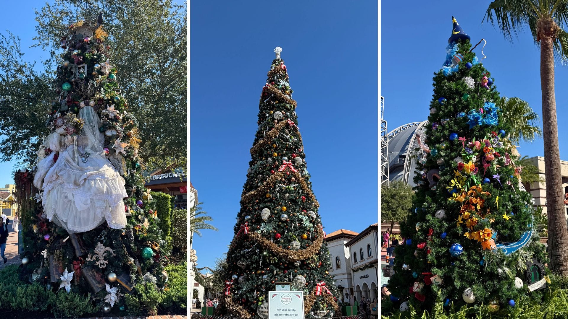 Three decorated Christmas trees side by side: a Haunted Mansion tree with a white bridal gown and veil draped down its front, the tall Town Center tree with gold garland against a blue sky, and a Fantasia tree topped with the blue sorcerer hat