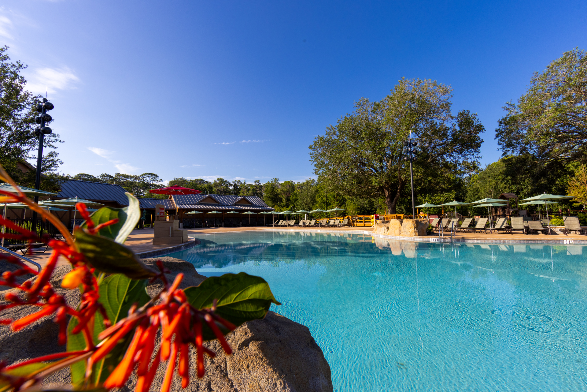 The new zero entry pool at the Meadow Swimmin' Pool area at Disney's Fort Wilderness Resort, with lounge chairs and green umbrellas around a wide blue pool